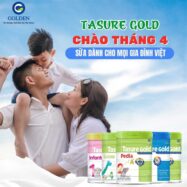 Sữa Tasure Gold - Dòng Sữa Dành Cho Cả Gia Đình